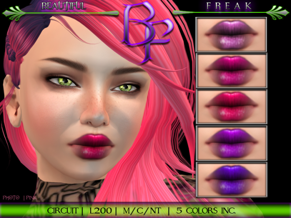 BF circuit lipstick template bfppv